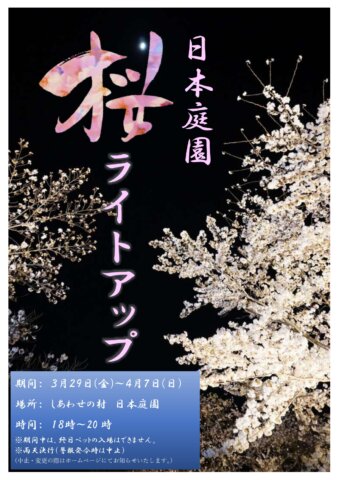 日本庭園　桜のライトアップの開催