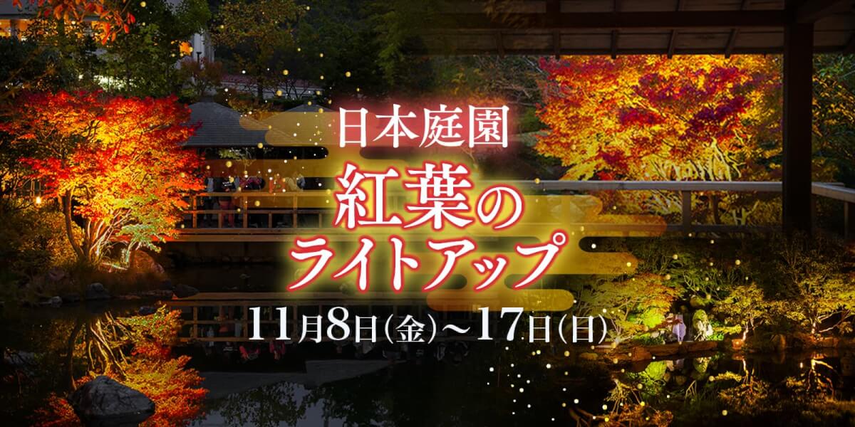 日本庭園　紅葉のライトアップ　11月8日金曜日から11月17日日曜日まで