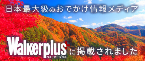 ウォーカープラスバナー