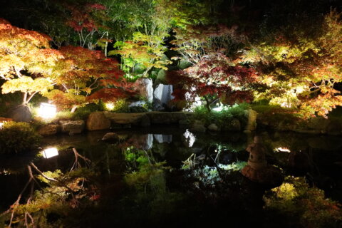 【11/14～11/24】日本庭園「紅葉のライトアップ」