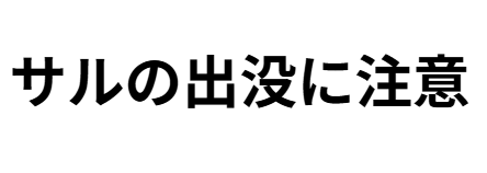 サルの出没に注意