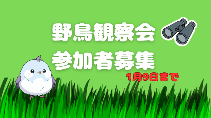 野鳥観察会