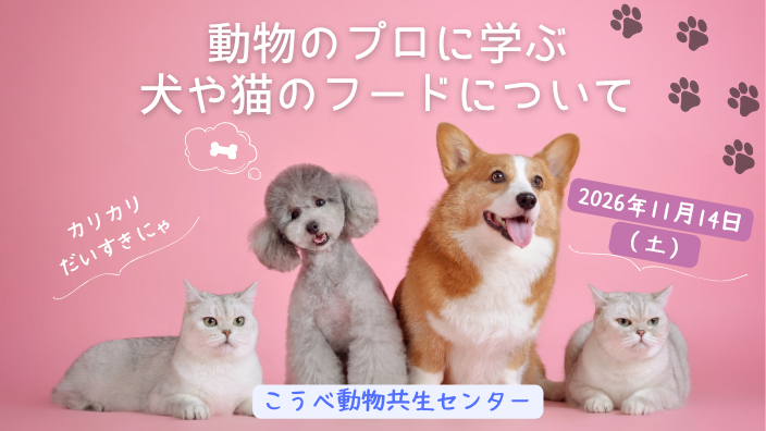 フード