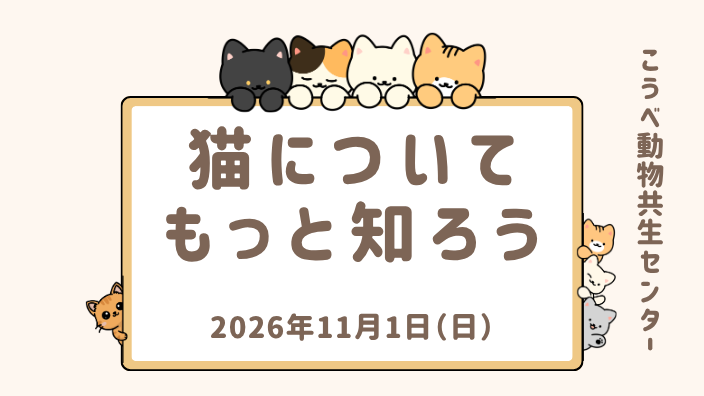 猫についてもっと知ろう