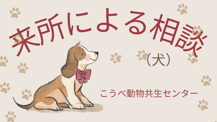 来所による相談（犬）
