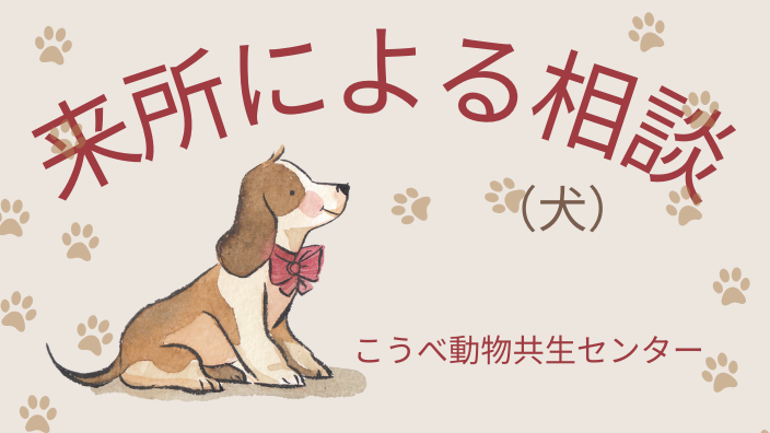 来所による相談（犬）