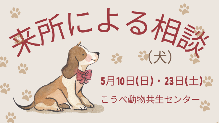来所による相談（犬）