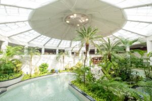 ジャングル温泉と植物