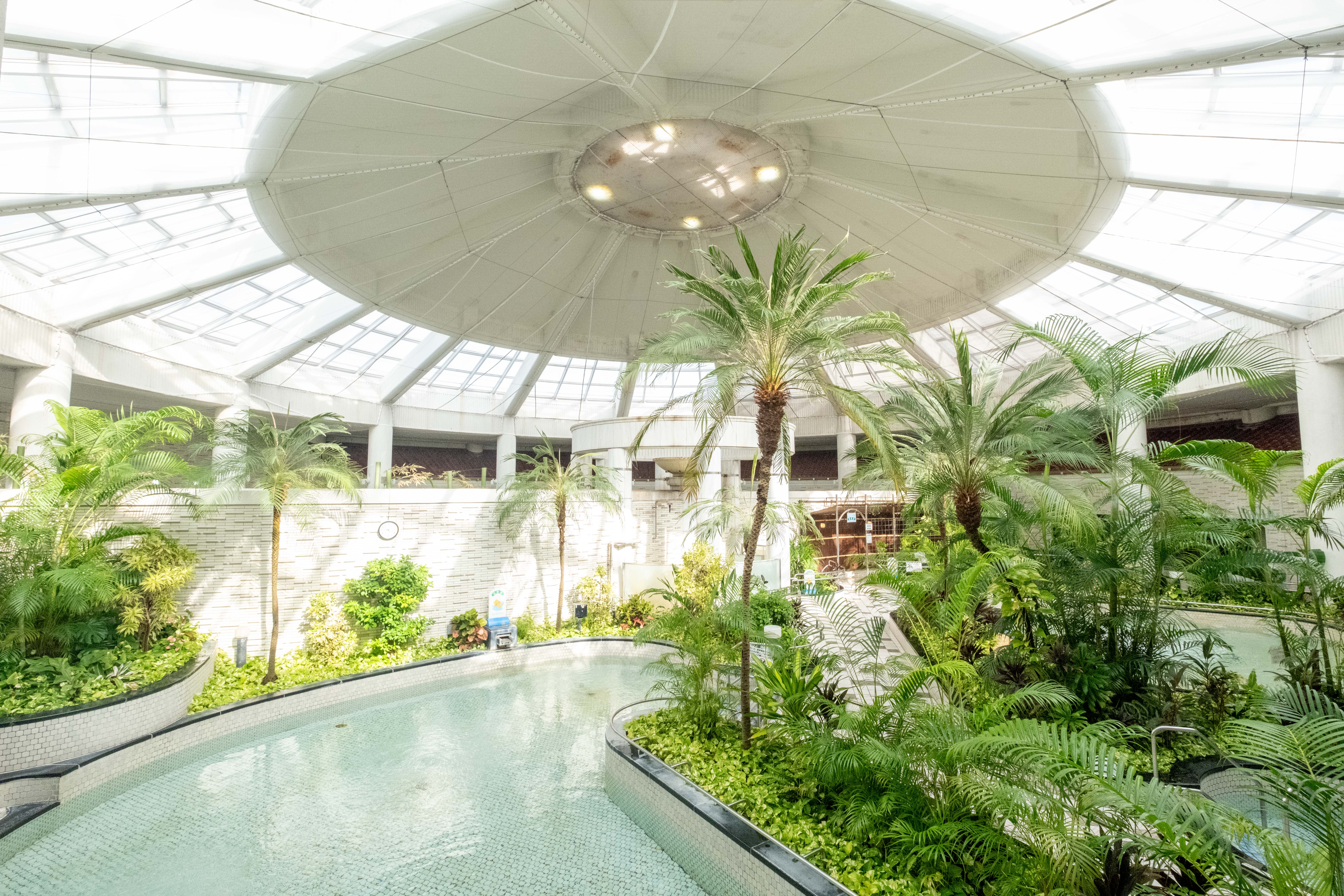 ジャングル温泉と植物