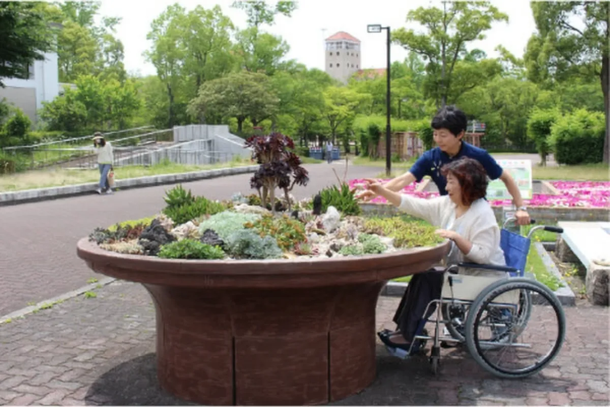 レイズドベッド