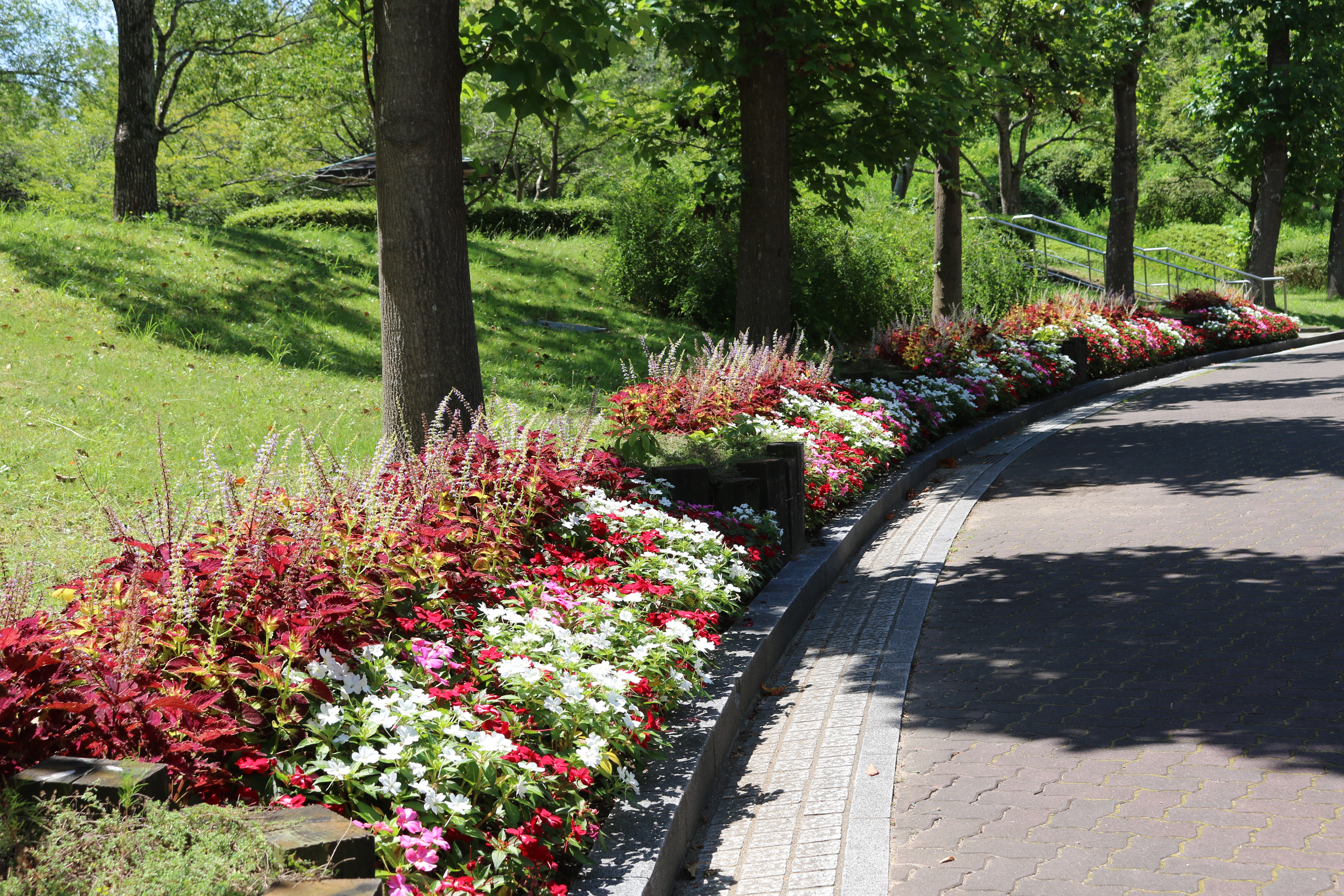 こもれび花壇