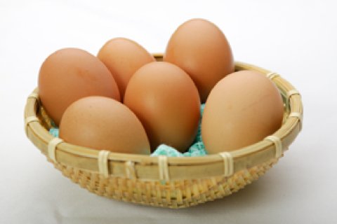 ウエルネスのビタたま卵（田隅養鶏場）