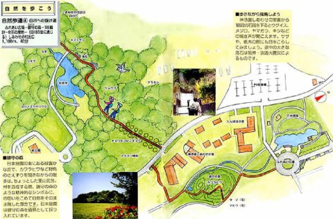 白川への抜け道