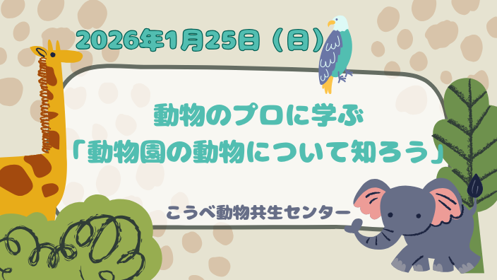 動物園の動物について知ろう