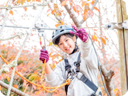 ボウケンノモリ