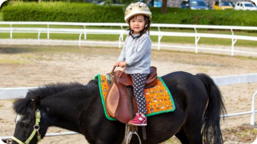 乗馬している子供