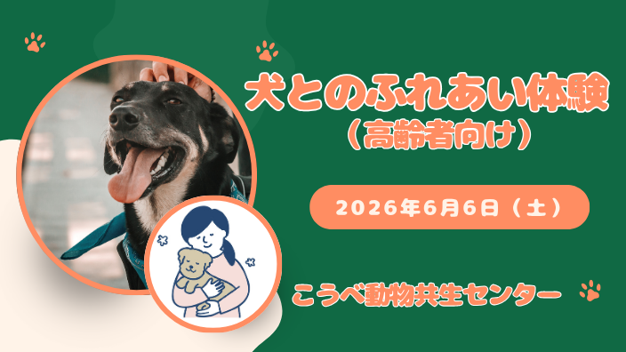 犬とのふれあい体験