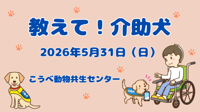 教えて！介助犬