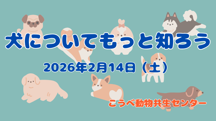 犬についてもっと知ろう