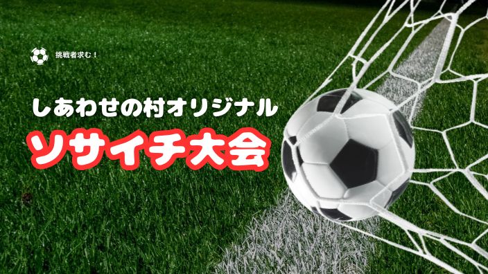 第８回ソサイチ大会