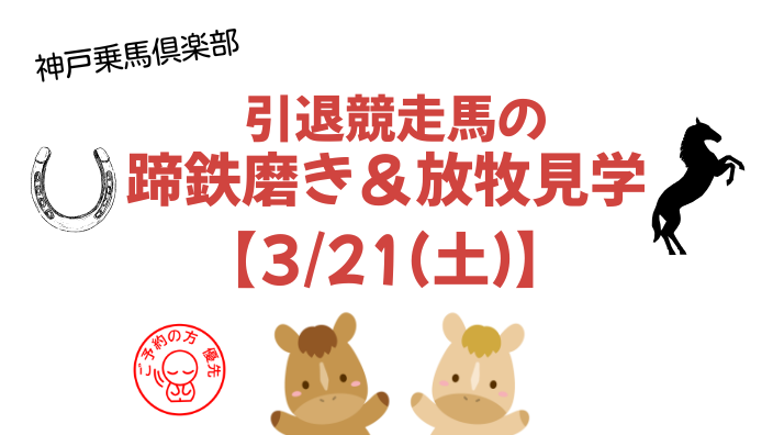 引退競走馬の蹄鉄磨き＆放牧体験