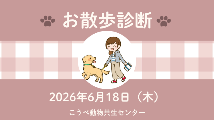 お散歩診断