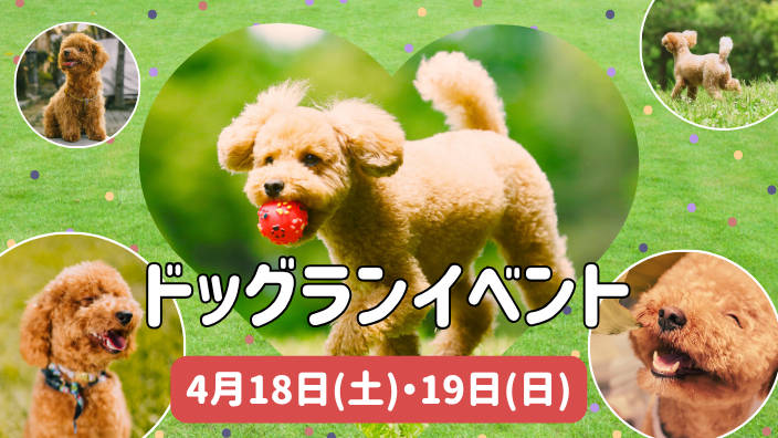 ドッグランイベント