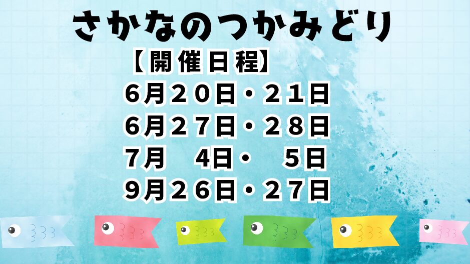 さかなのつかみどり