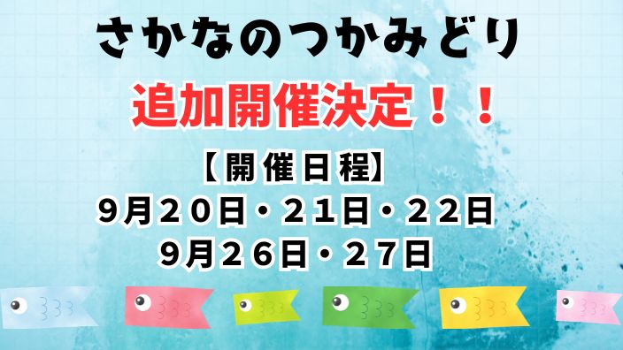 さかなのつかみどり