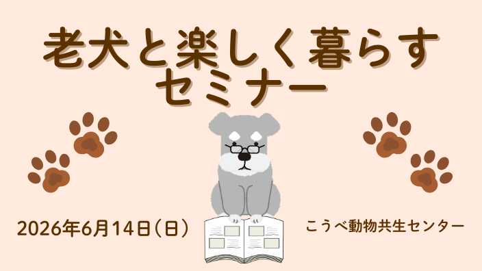 老犬と楽しく暮らすセミナー