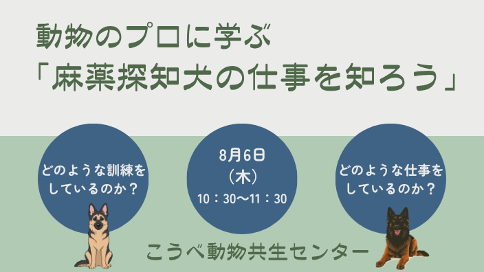 麻薬探知犬