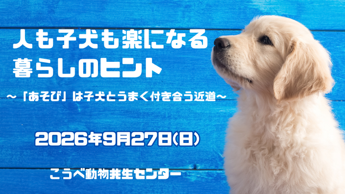 人も犬も楽になる暮らしのヒント