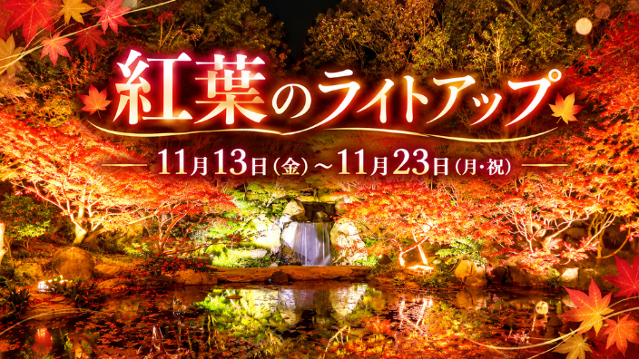 紅葉のライトアップアイキャッチ